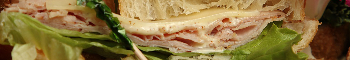 Eating Sandwich Vegetarian at Amer's Delicatessen restaurant in Ann Arbor, MI.